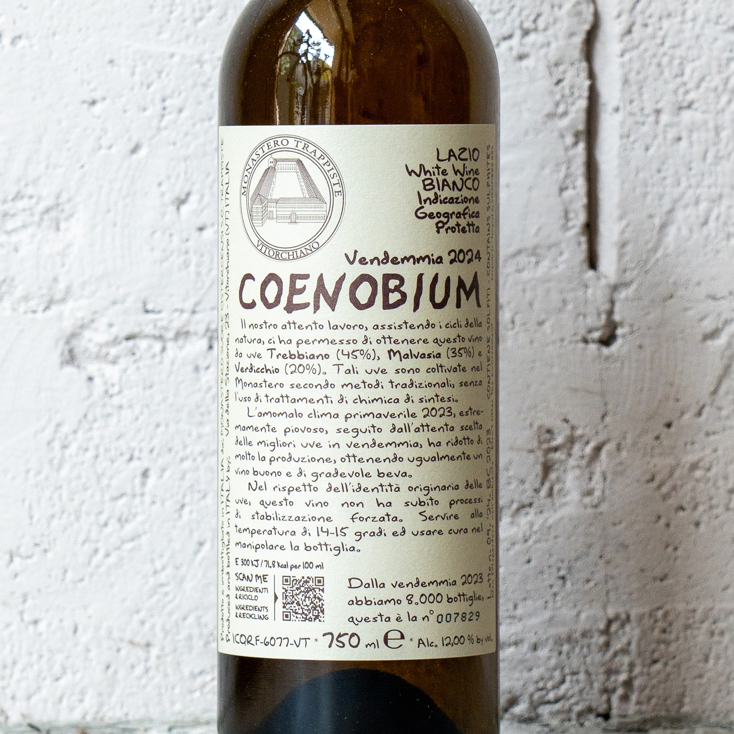 【新ヴィンテージ】2024 コエノビウム モナステロ ディ ヴィトルキアーノ