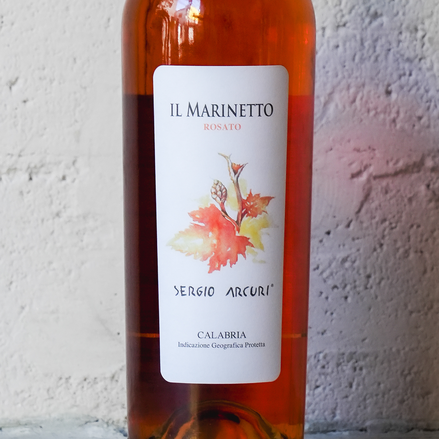 【秋のBBQやピクニックにぴったり】晴れた日に屋外で飲みたい自然派ワインセット【泡泡白白ロゼロゼ6種6本】