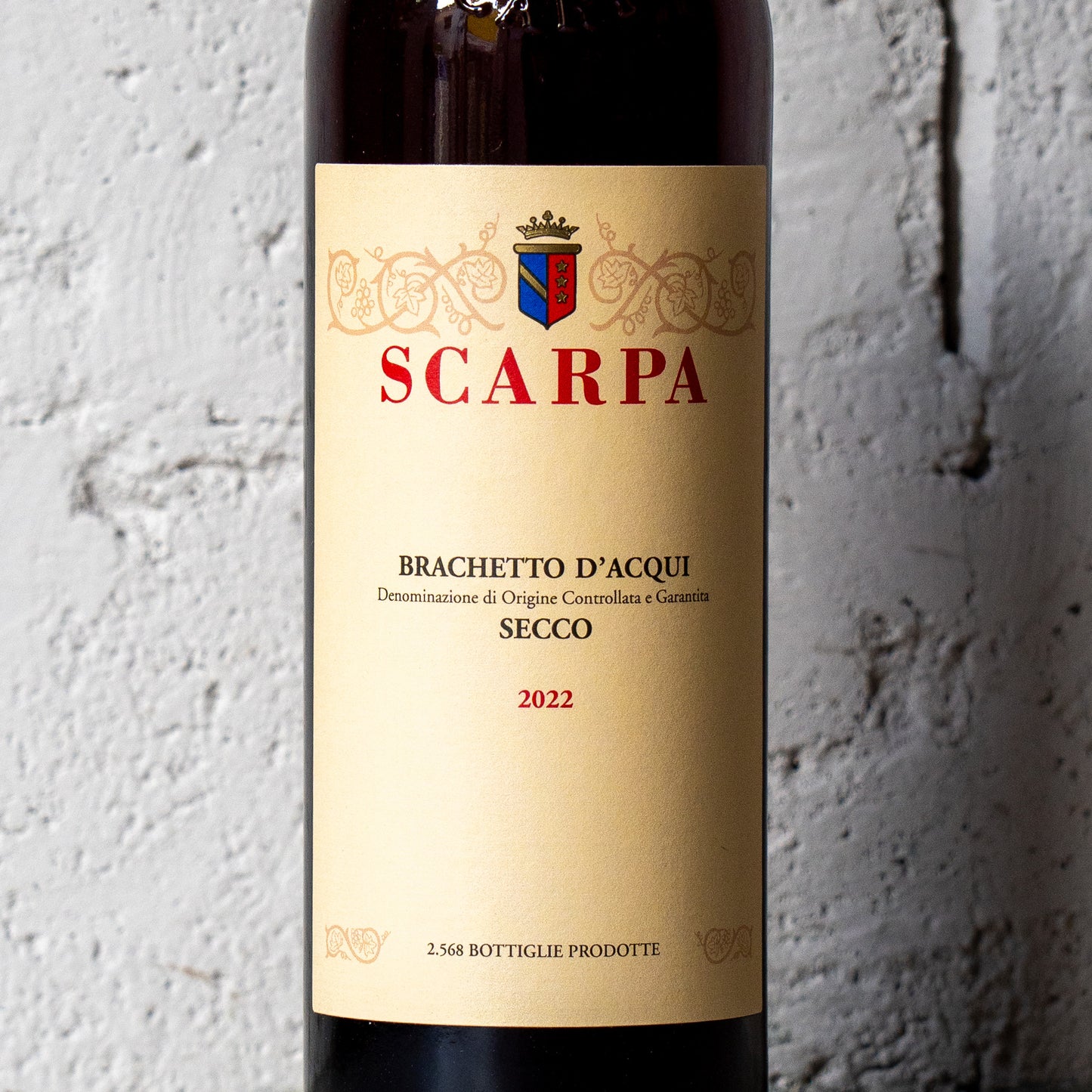 2022 ブラケットダクイ セッコ スカルパ