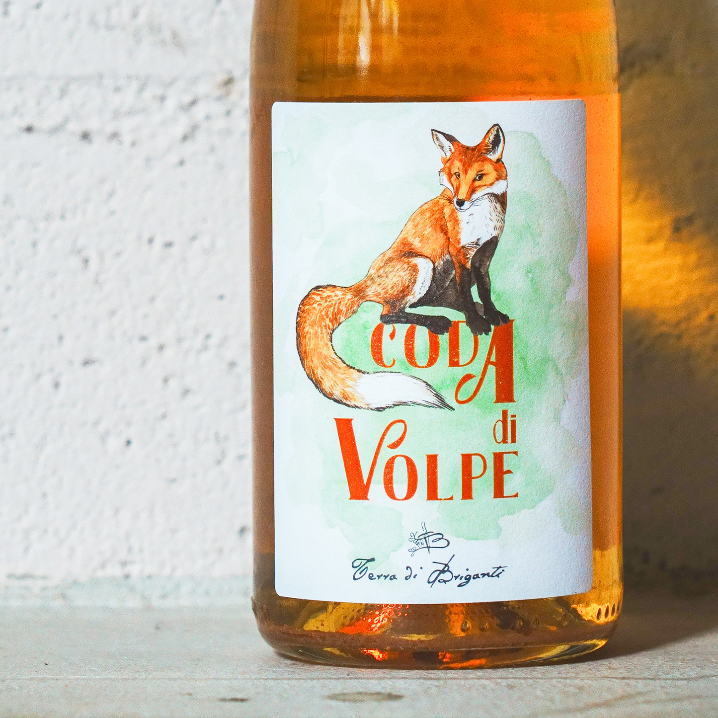 2022 コーダ ディ ヴォルペ テッラ ディ ブリガンティ