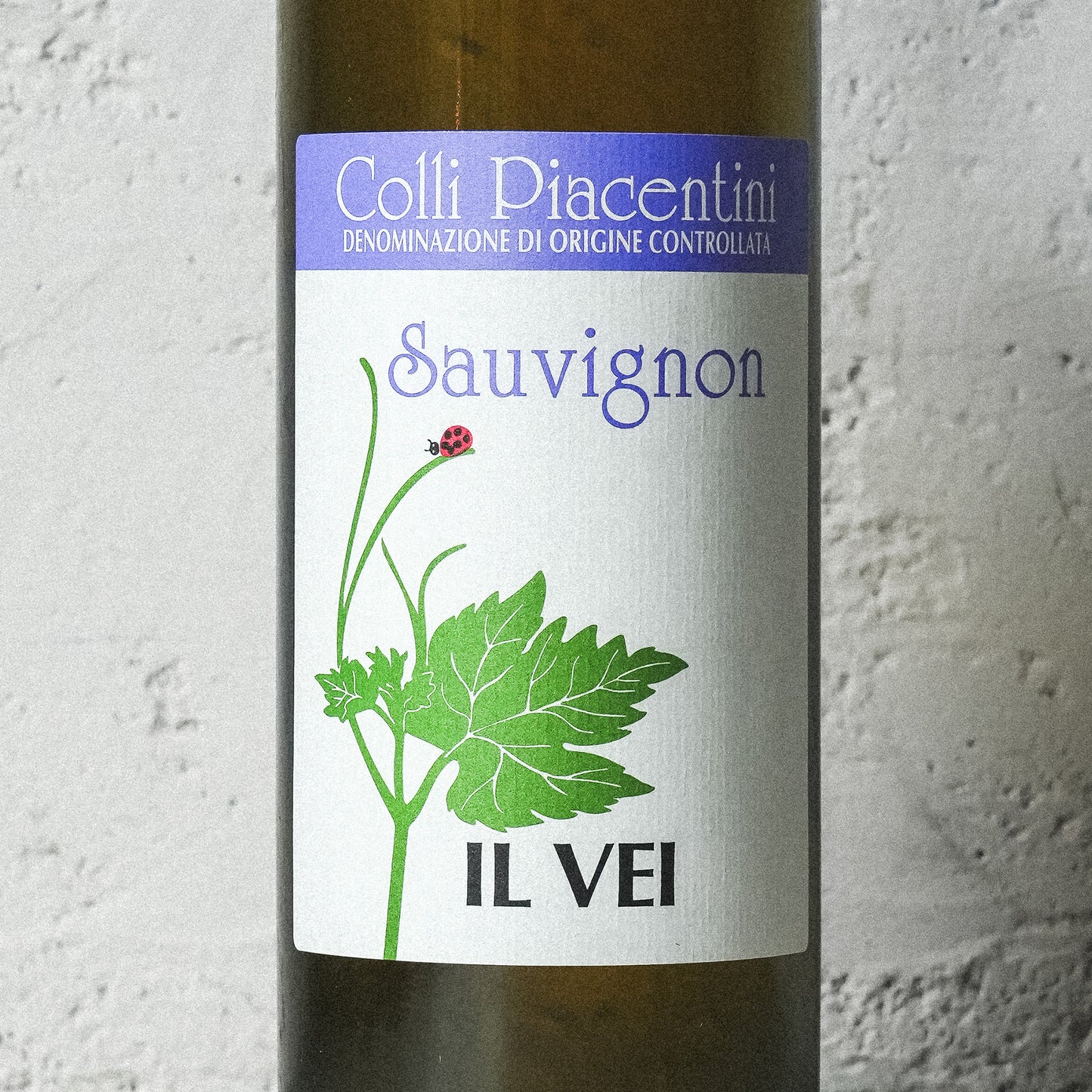 2022 ソーヴィニオン イル ヴェイ