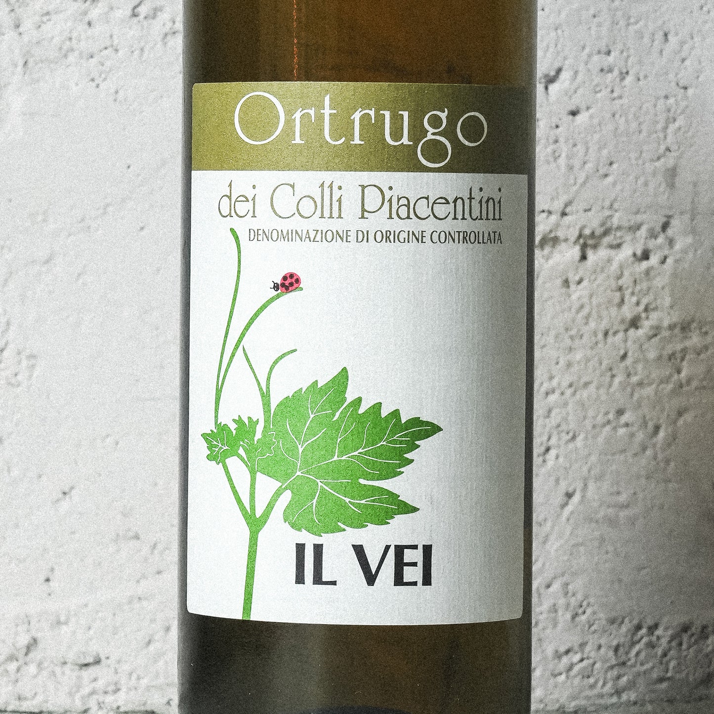 2022 オルトゥルーゴ イル ヴェイ