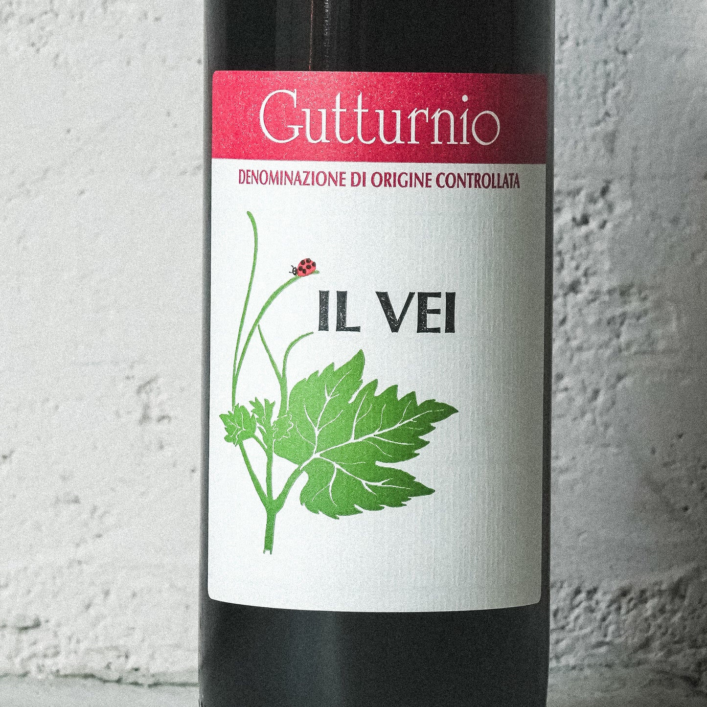 2019 グットゥルニオ イル ヴェイ