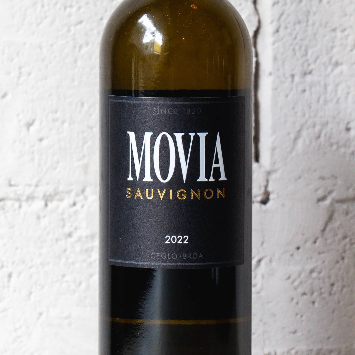 2022 ソーヴィニヨン モヴィア