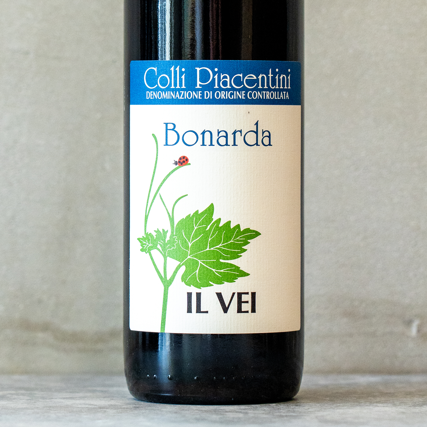 2022 ボナルダ イル ヴェイ