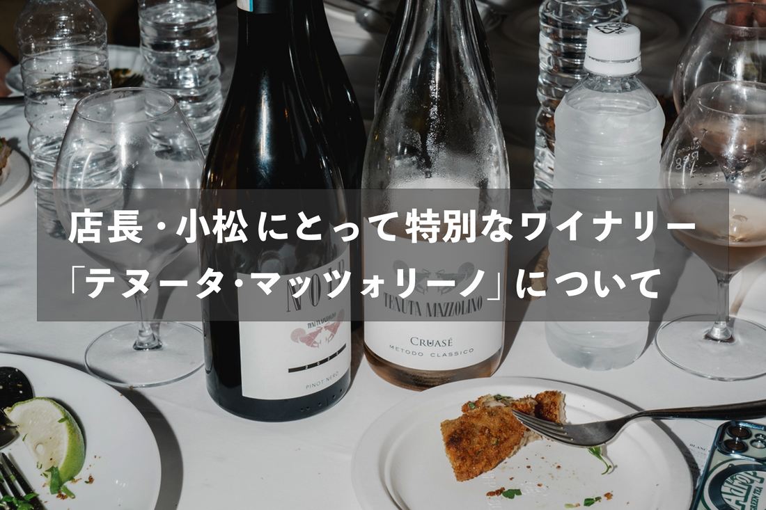 店長・小松にとっての特別なワイナリー 「テヌータ・マッツォリーノ」の話