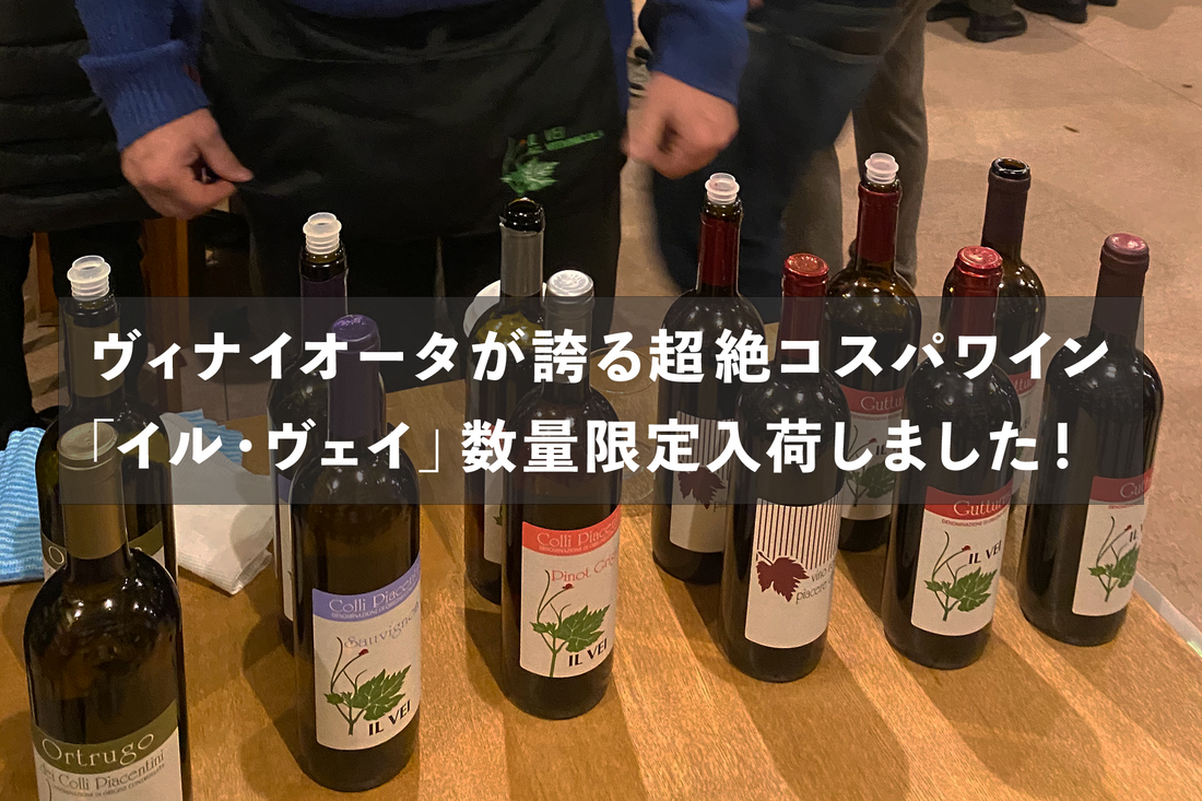 ヴィナイオータが誇る”鬼”コストパフォーマンスワイン「イル ヴェイ」数量限定入荷！