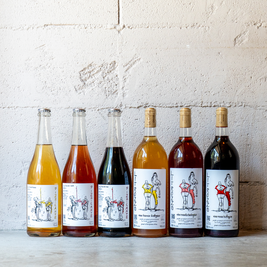 【新ヴィンテージ入荷】Regaloシェフ小倉が自然派ワインにハマるきっかけの造り手「レ・コステ」ワインセット【泡泡泡白ロゼ赤6種6本】