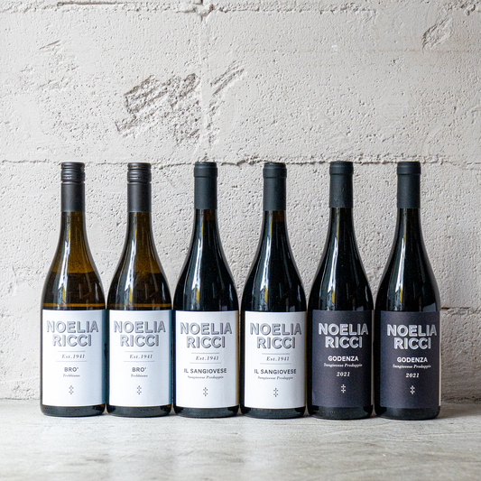 【特別価格】唯一無二の個性的な赤ワイン「ゴデンツァ」を楽しむワインセット【白赤赤3種6本】