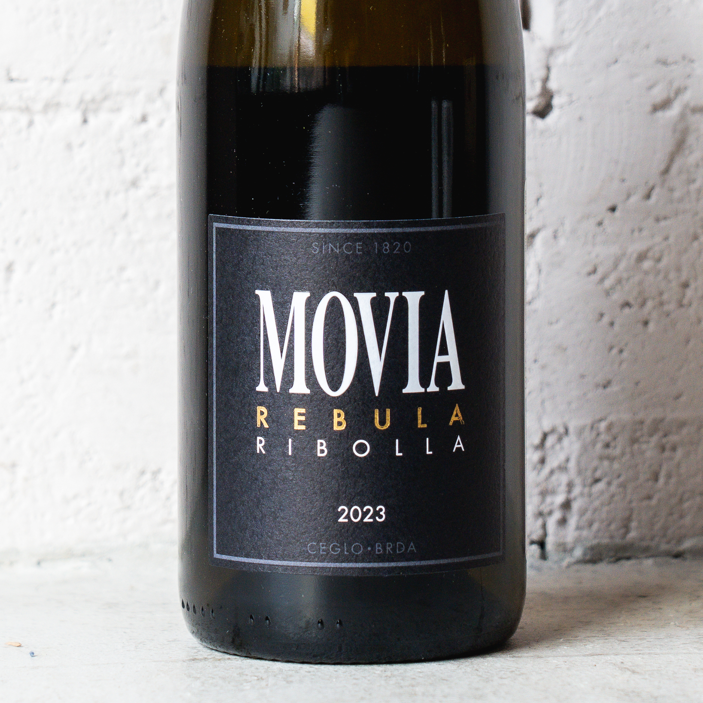 2023 レブーラ リボッラ モヴィア