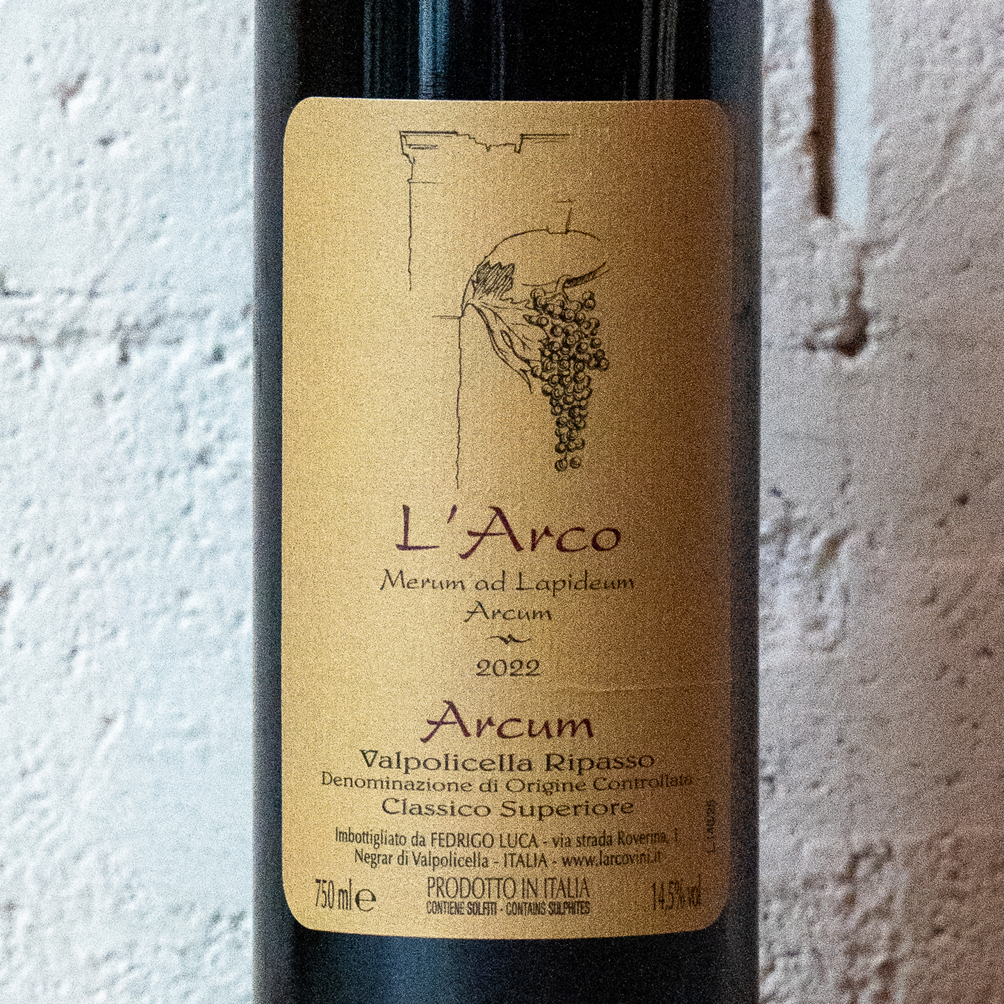 【年に一度の限定入荷】イタリア現地で飲んで即入荷を決めた「サルヴァトーレ・モレッティエーリ」のロゼワインが入ったワインセット【泡ロゼ赤赤4種6本】