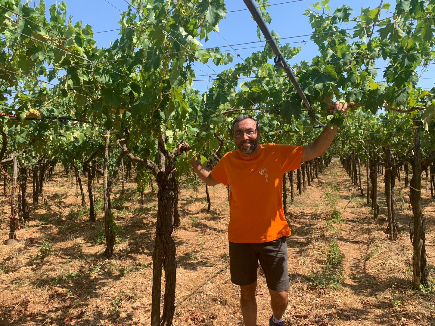 【5/19(火) 19:00-21:00開催】プーリアの生産者 "Fatalone(ファタローネ)" 来日イベント