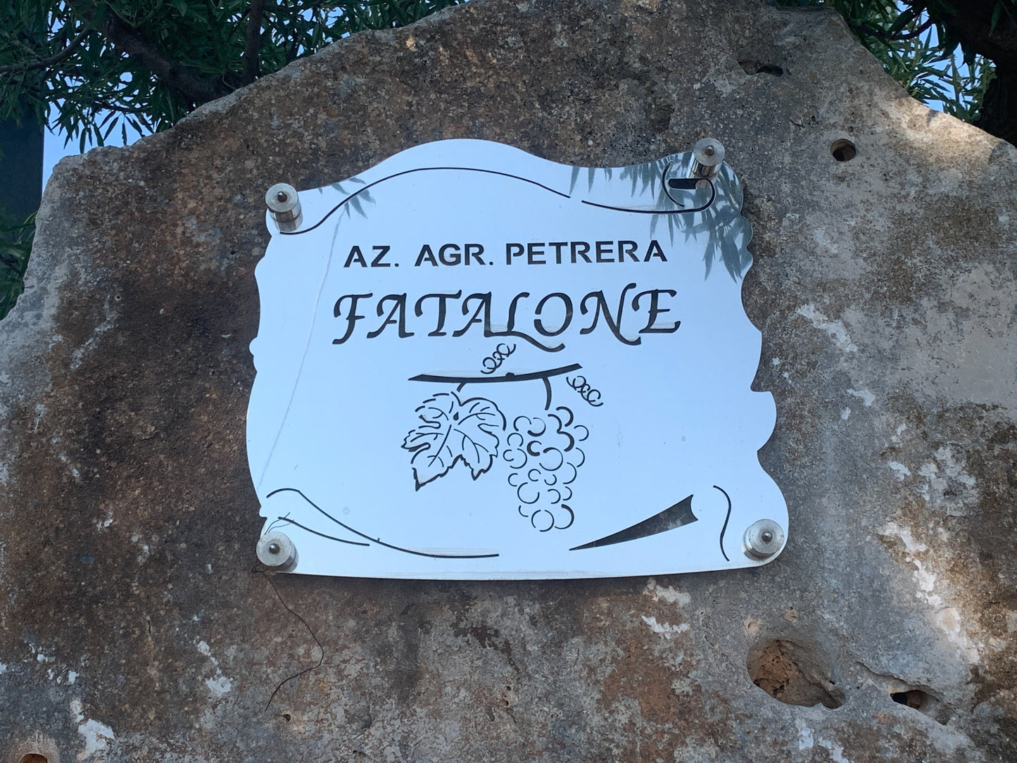 【5/19(火) 19:00-21:00開催】プーリアの生産者 "Fatalone(ファタローネ)" 来日イベント